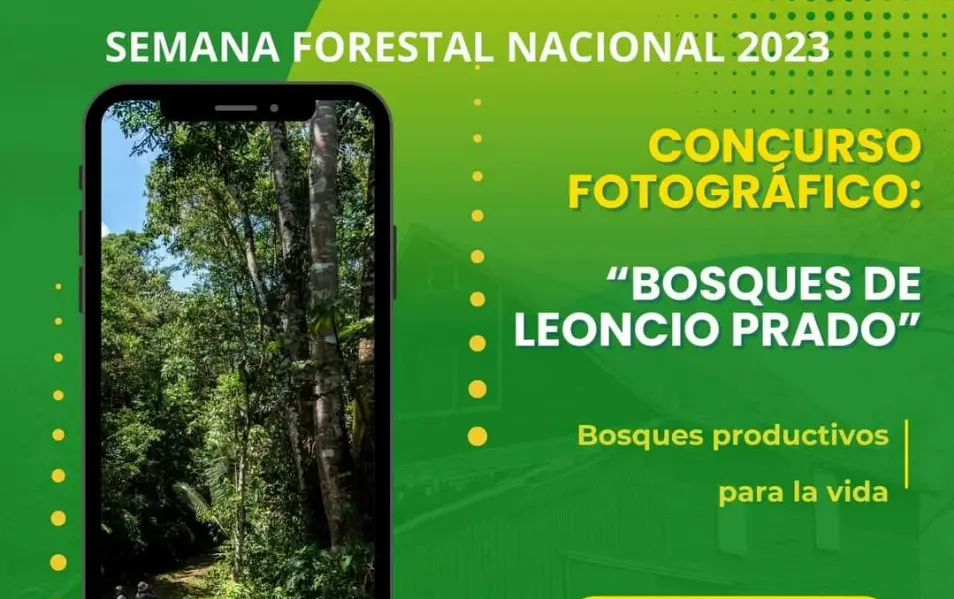 Semana Forestal Nacional 2023: Organizan concurso fotográfico en Tingo María
