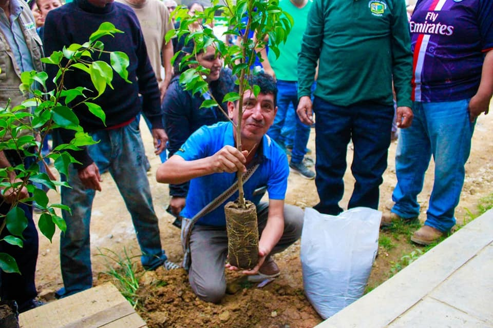 Ciudadanos participaron en la campaña de reforestación de zonas degradadas (foto: Municipalidad de Pangoa).