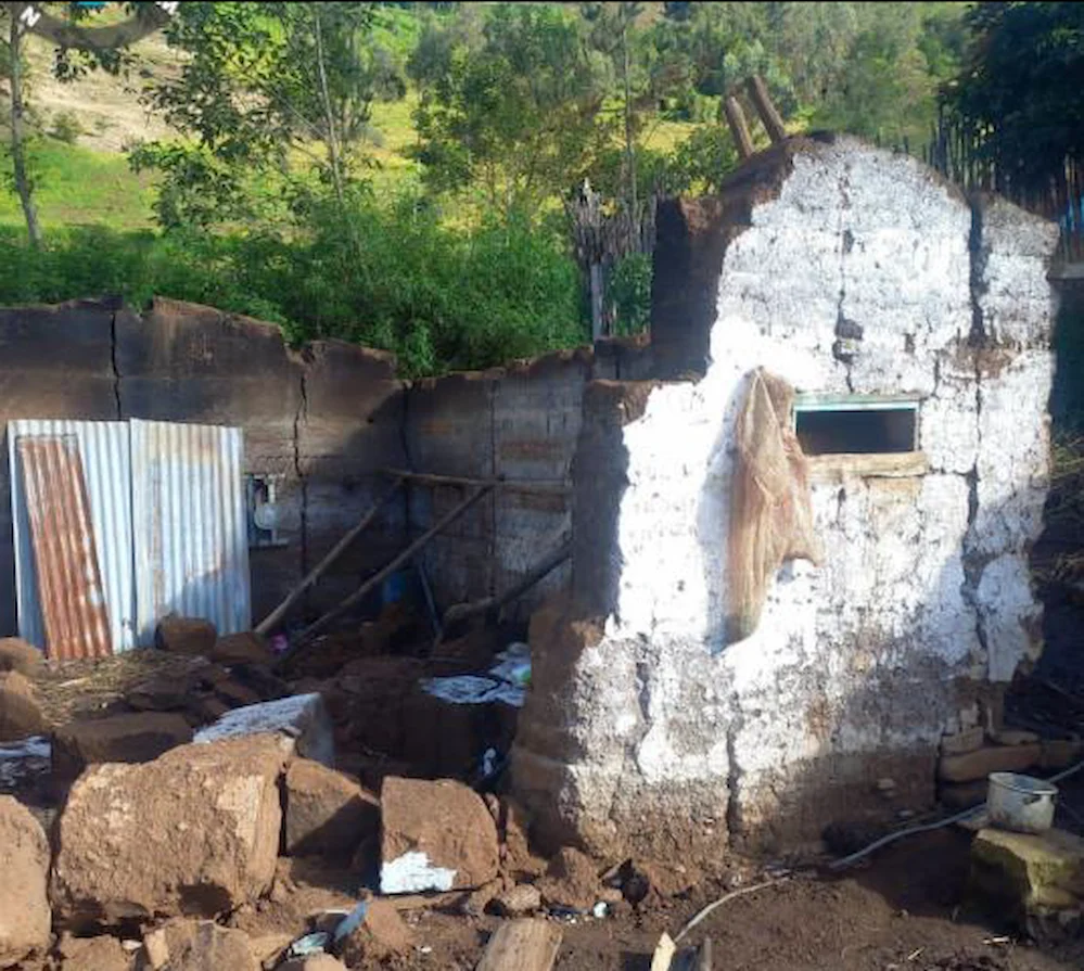 Reptación en la localidad Yanano, distrito Chaglla, provincia Pachitea causó daños en viviendas y áreas de cultivo. (Foto: COEN).