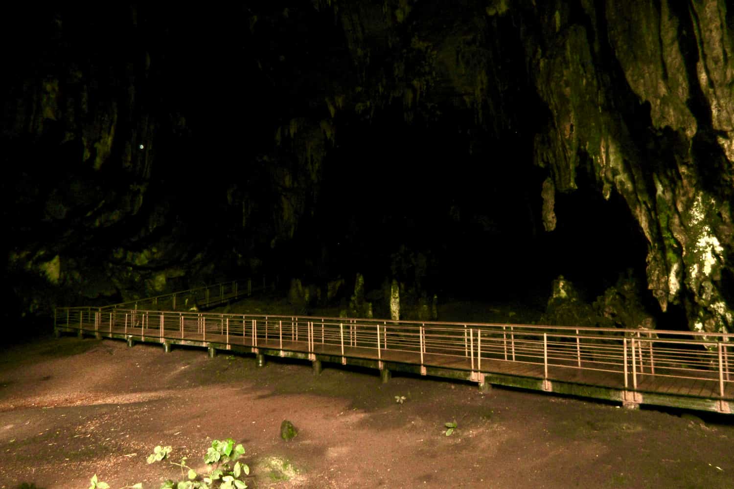 La Cueva de las Lechuzas: un atractivo que no debes dejar de visitar tras su reapertura
