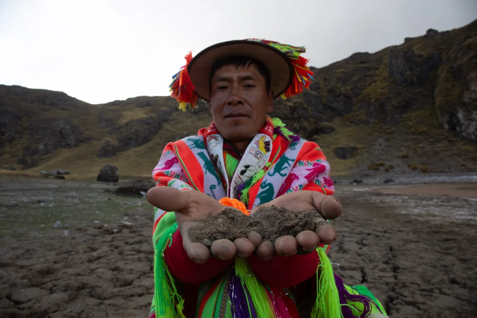La-lucha-por-la-reforestacion-en-Peru-desde-las-comunidades-XII.webp